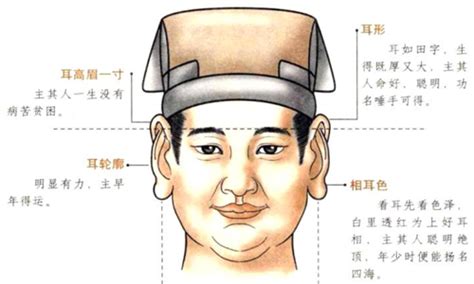 提耳面相|面相入门